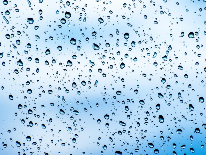 drops, surface, wet, macro, transparent