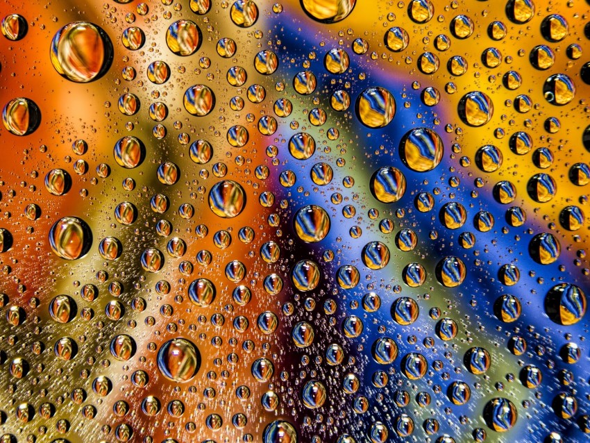 drops, wet, surface, colorful, macro