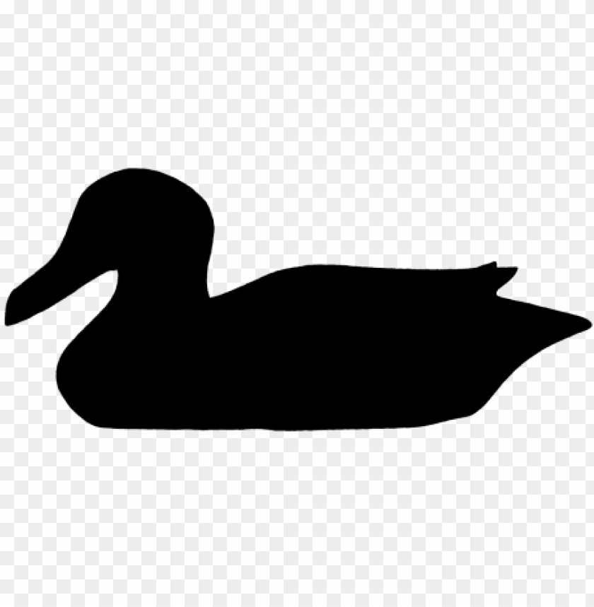 duck, duck hunt dog, daffy duck, rubber duck, duck clipart, daisy duck