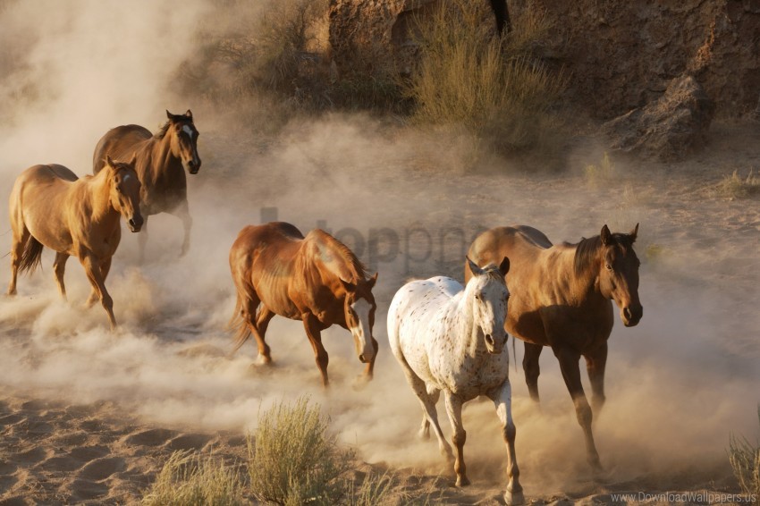 dust, herd, horse, running wallpaper