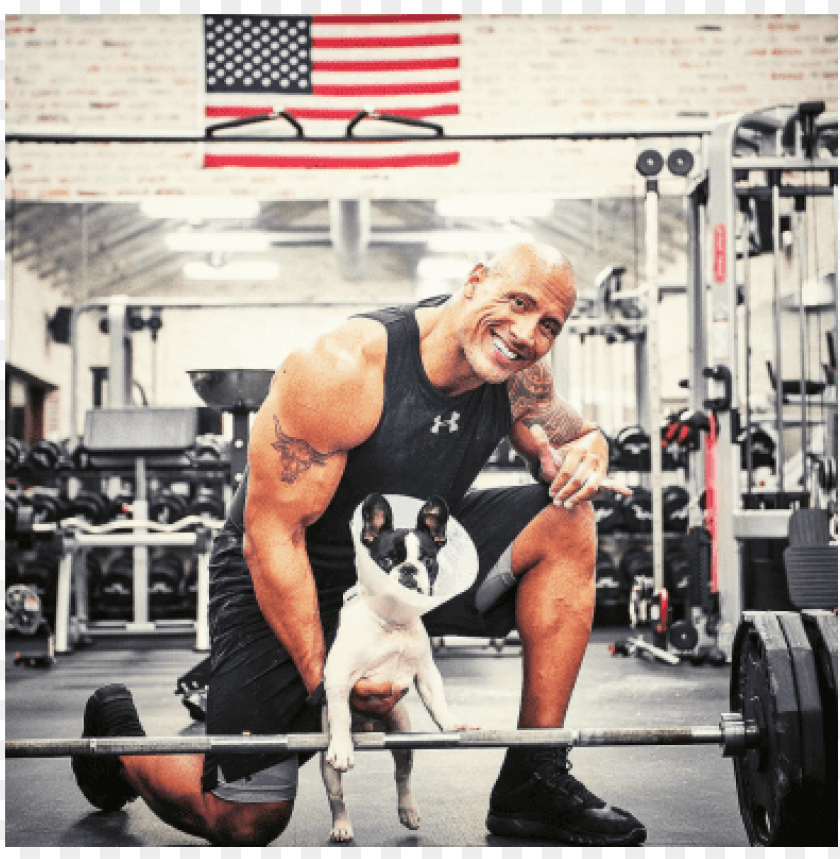 dwayne johnsons pic in gym PNG image with transparent background | TOPpng