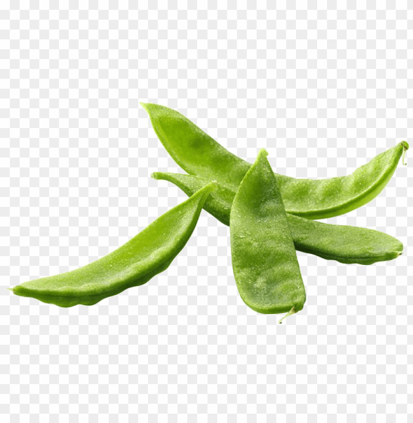 ea png free image snap pea PNG transparent with Clear Background ID 327214
