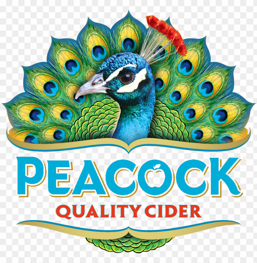 pattern, beer, bird, apple, feather, wallpaper, background