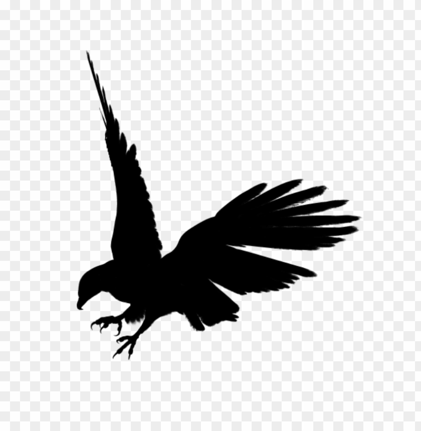 eagle png images background - Image ID 1882