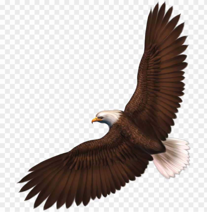 eagle png images background - Image ID 1914
