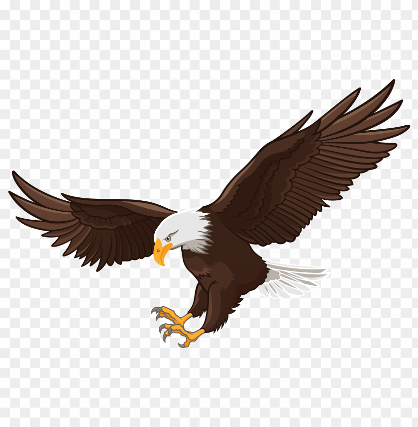 eagle clipart png photo - 31922