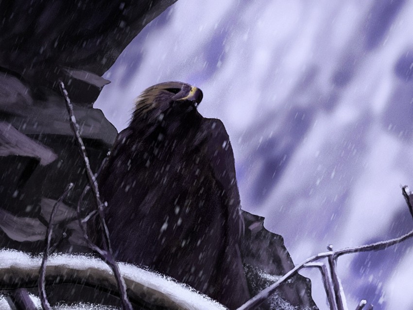 eagle, bird, art, snow, rock