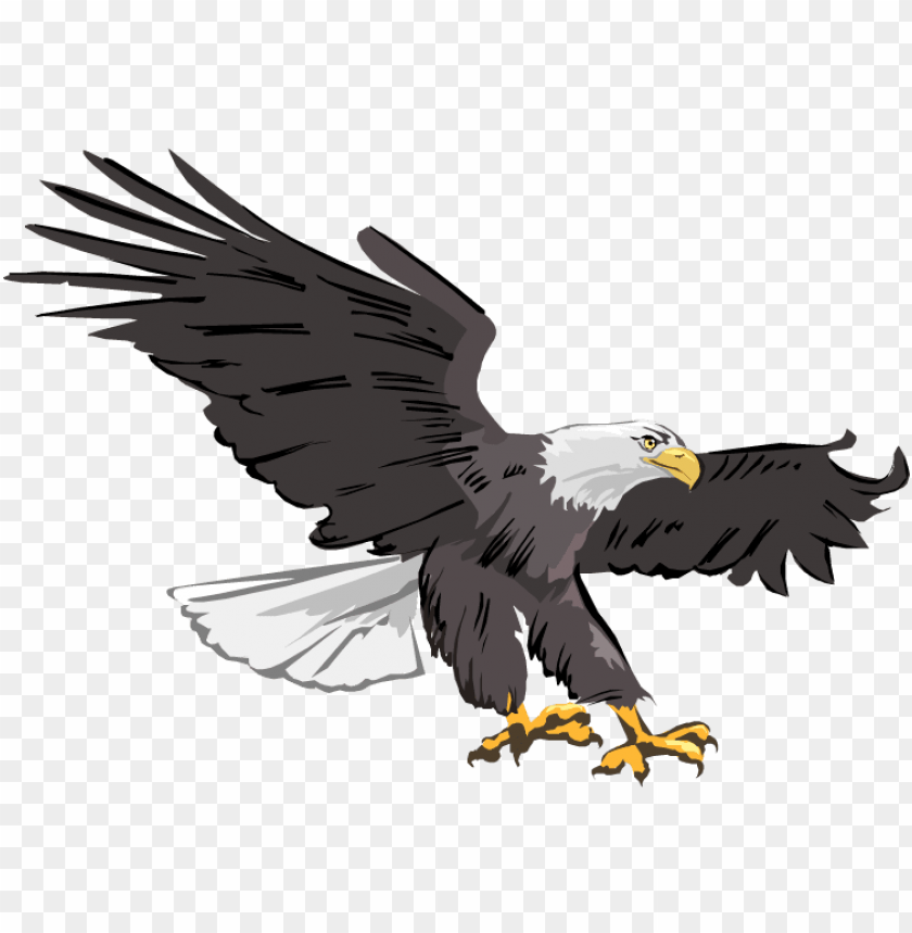 eagle clipart bald eagle clipart images free clipartix - clipart of flying eagle PNG image with transparent background@toppng.com