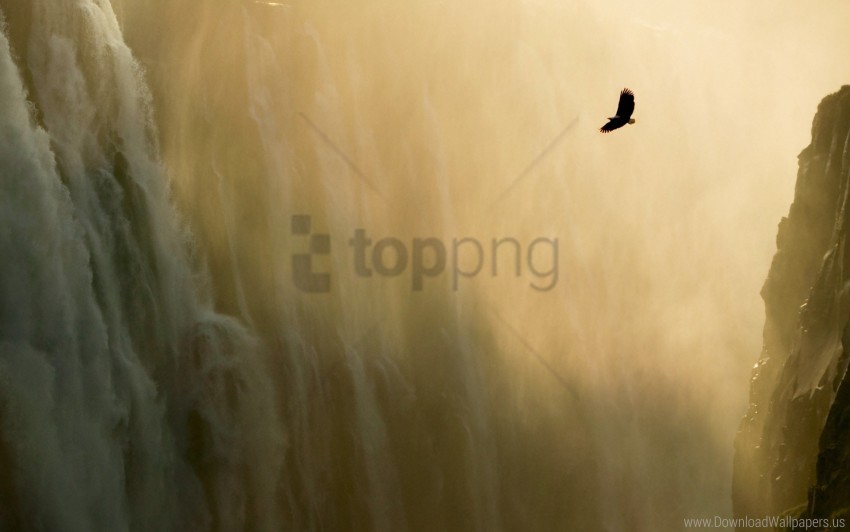 eagle wallpaper waterfall wallpaper background best stock photos - Image ID 162193