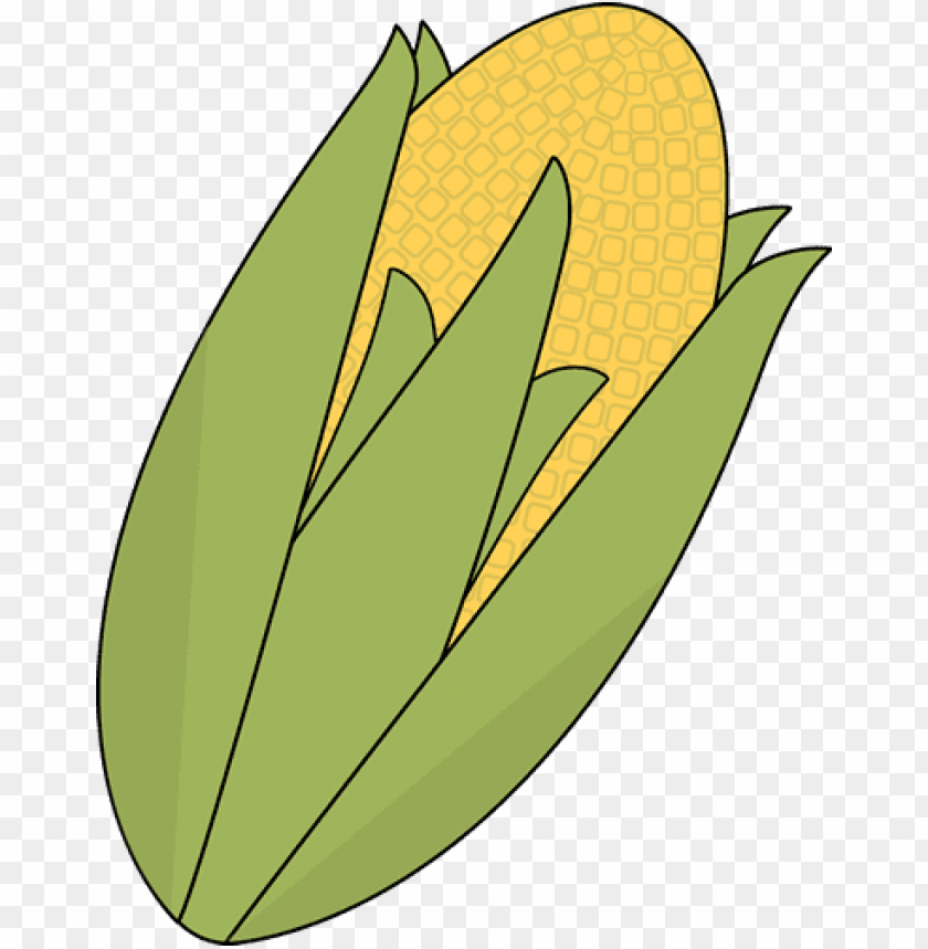 Ear Of Corn Clip Art Ear Of Corn Image - Corn Clipart PNG Image With Transparent Background