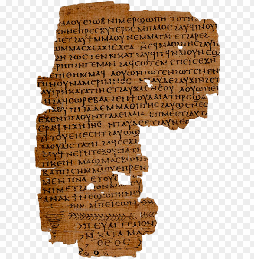 Ear Shallow Lakes And Rivers Grew A Tall Reed Called - Ancient Egypt Papyrus PNG Image With Transparent Background