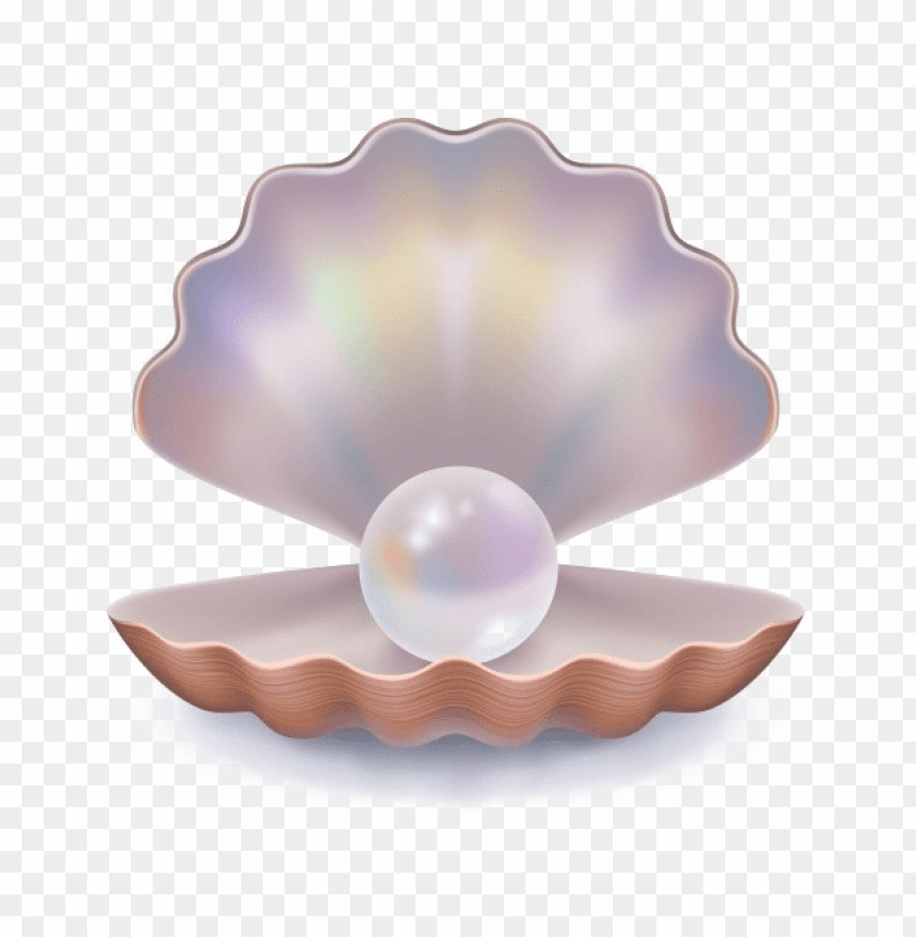 Earl Download Png Image - Open Clam Shell Vector PNG Transparent With ...