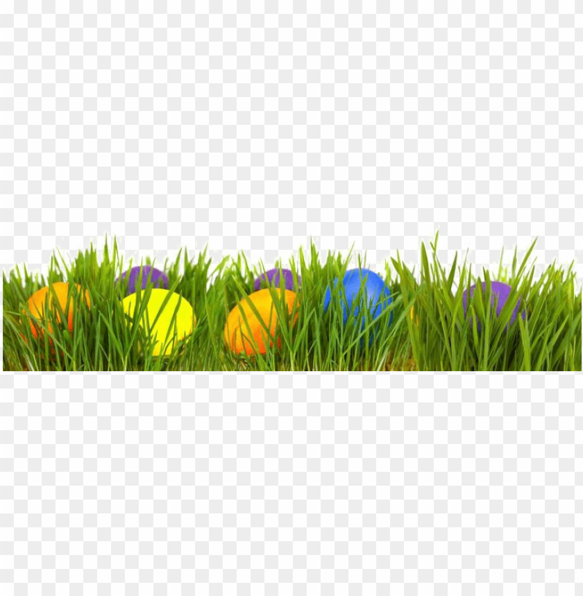 easter eggs in grass, scrambled eggs, arts and crafts, green grass, grass hill, ornamental grass