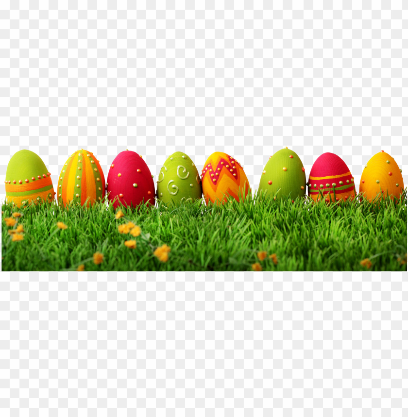easter grass png - eggs easter PNG image with transparent background@toppng.com