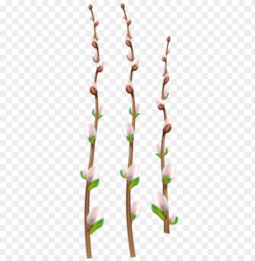 Easter Willow Branches Png Png Images Background -  Image ID Is 50794