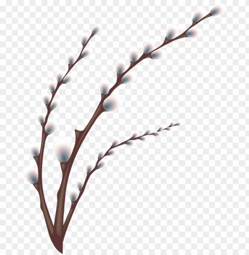 Easter Willow Tree Branch Transparent Png Images Background -  Image ID Is 50793
