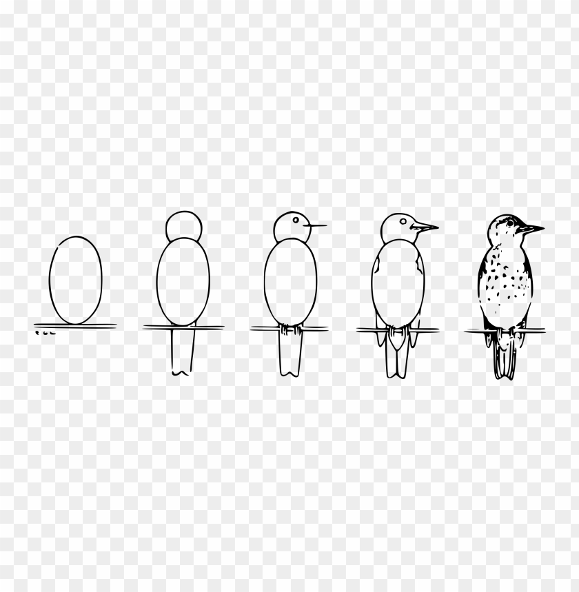 easy drawing bird - Image ID 474242