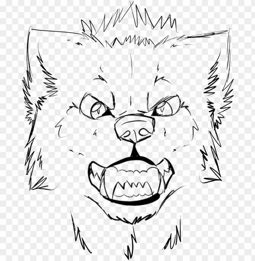 Wolf howls sketch Royalty Free Vector Image - VectorStock