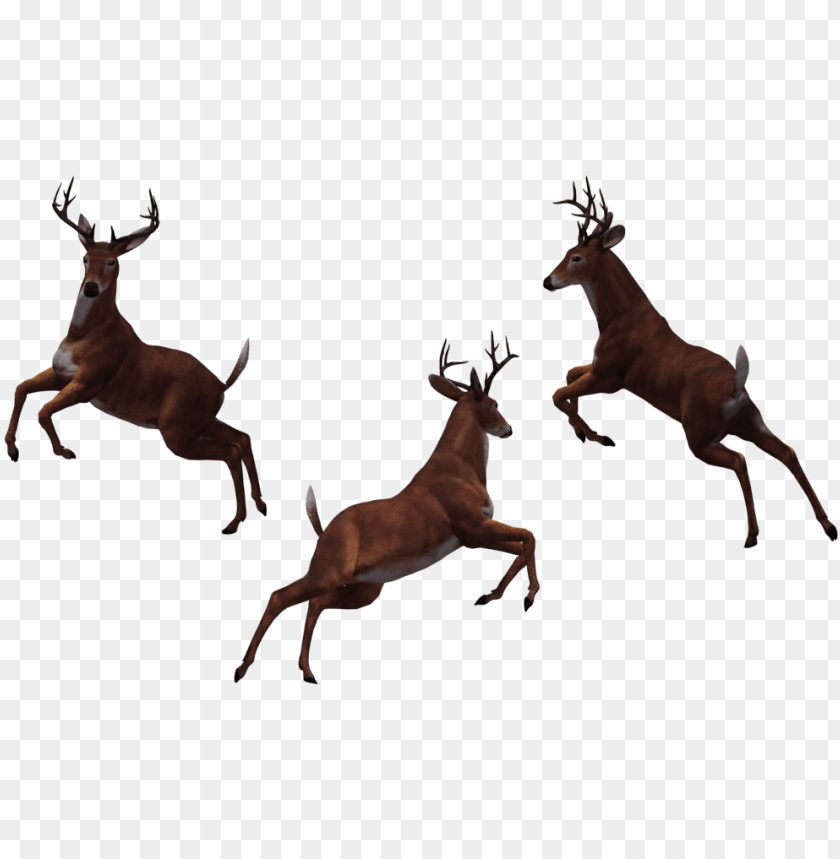 fast food, download button, deer silhouette, whitetail deer, deer head, deer antler