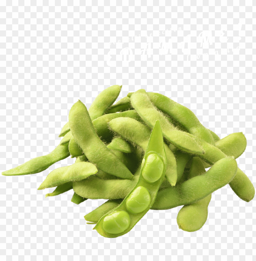  vegetables, edamame, soy beans,fawal aladmami , fawal alsawya al'akhdara, fawal haraataa,fwl hiratana
فول الادمامي 