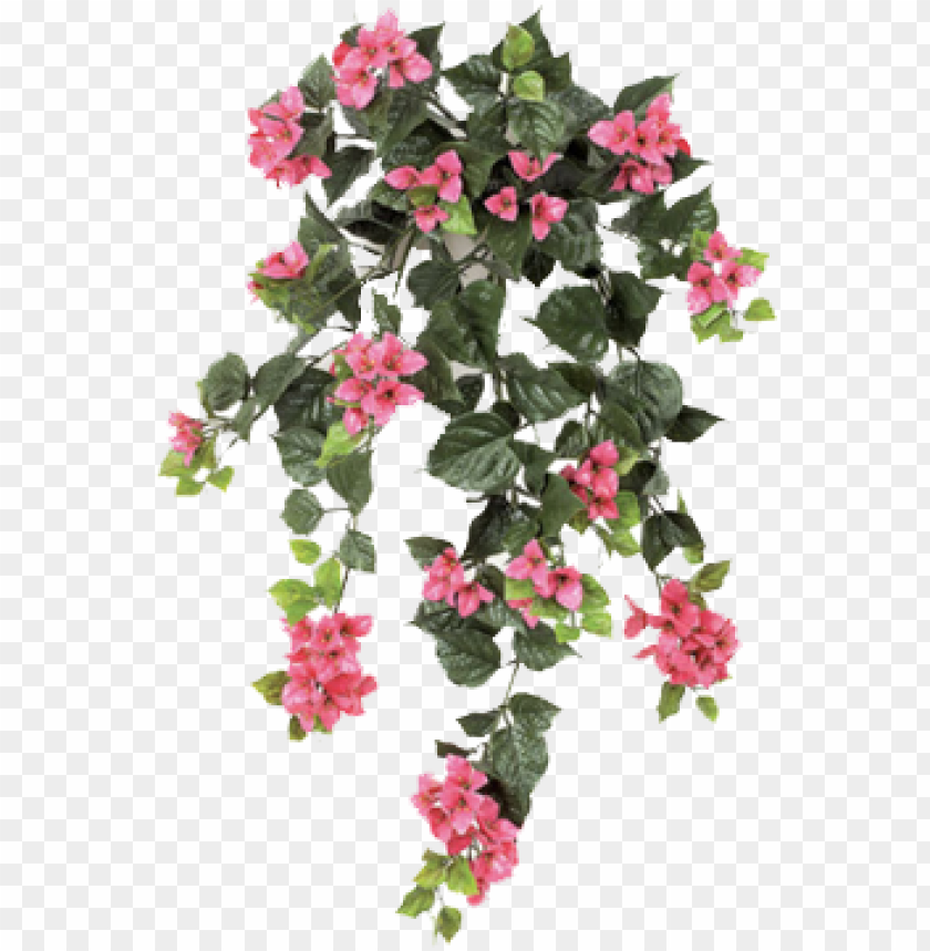 editing image - ivy with flower PNG image with transparent background |  TOPpng