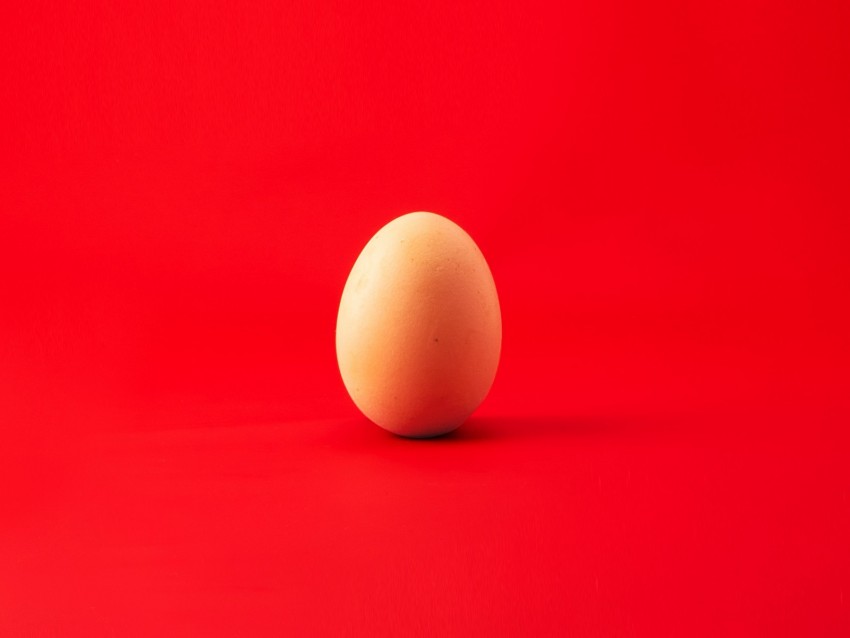 egg, chicken egg, red, minimalism