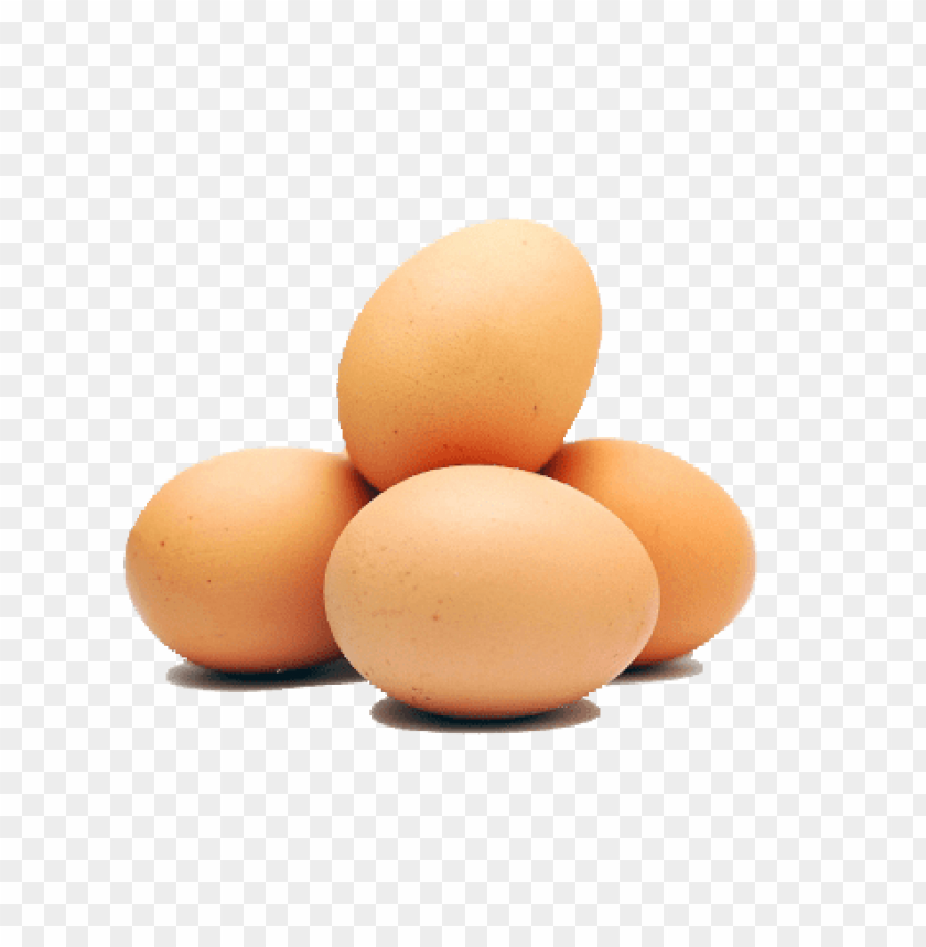 Egg PNG Images With Transparent Background