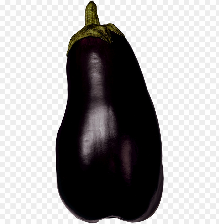 
eggplant
, 
purple egg-shaped fruit
, 
dark purple
