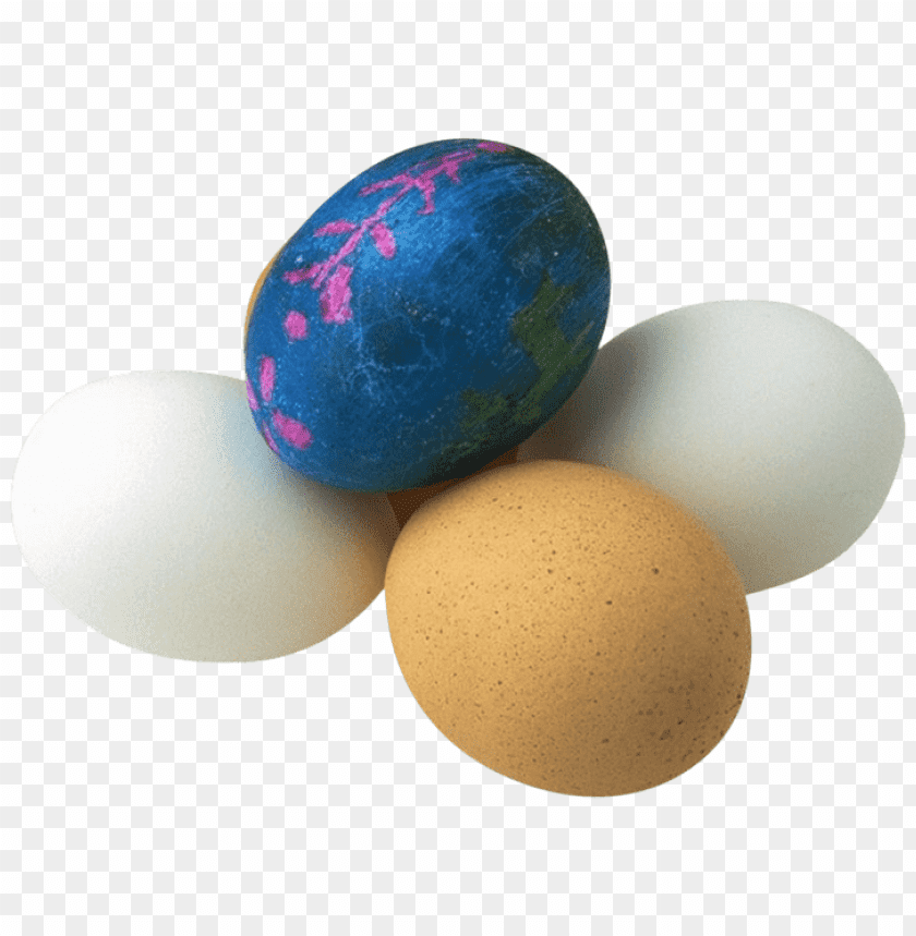 eggs,eggs free png,eggs png free,eggs png free,eggs free png,eggs png,eggs images png