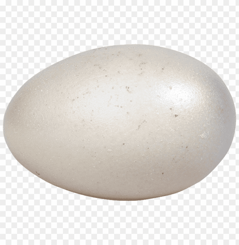 eggs,eggs free png,eggs png free,eggs png free,eggs free png,eggs png,eggs images png