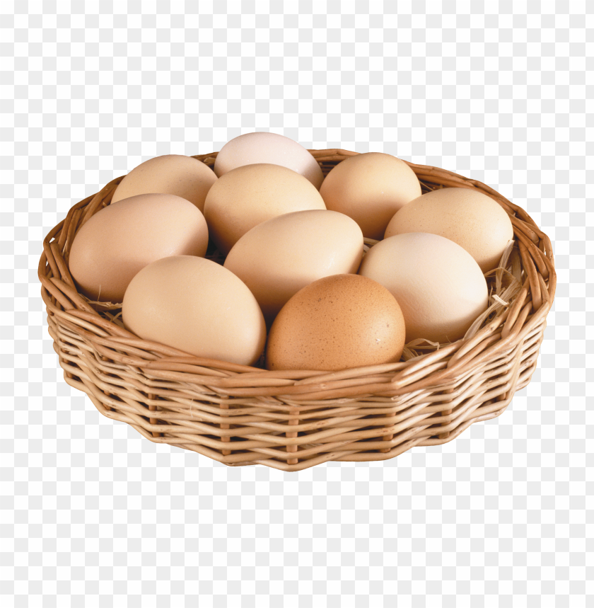 
eggs
, 
eggshell
, 
egg white
, 
egg yolk
