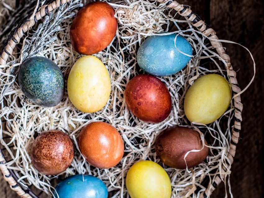 eggs, basket, easter, colored, colorful, holiday