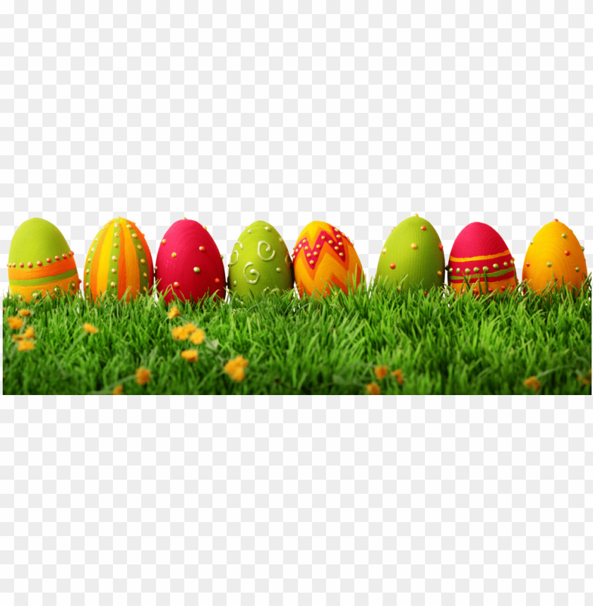 easter eggs in grass, easter border, happy easter, easter, easter bunny, scrambled eggs