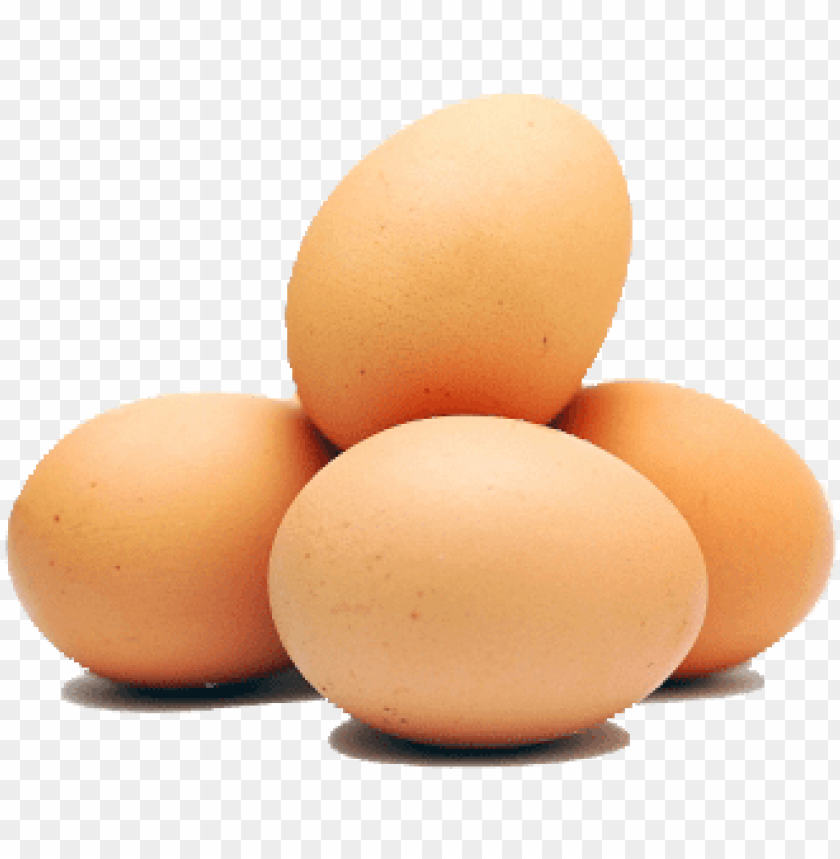 egg, eggs, animal, colored egg, illustration, cracked egg, bird