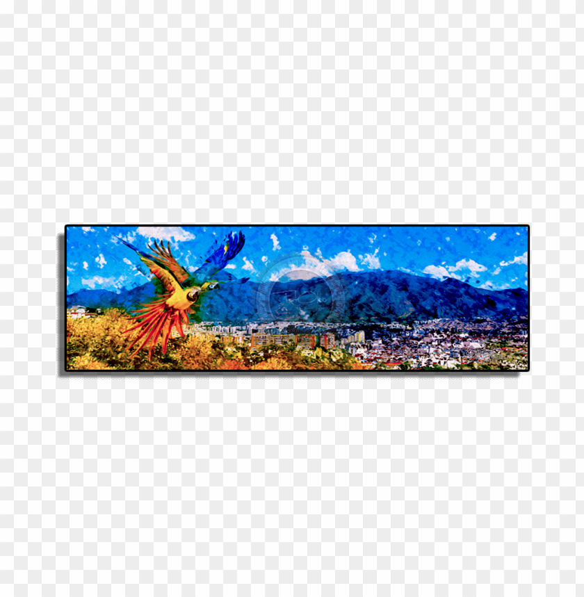 background, colombia, fleur de lis, argentina, graphic, brazil, mexican