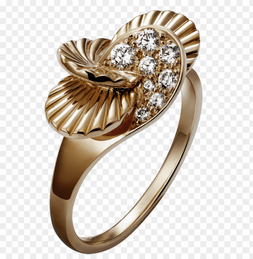 elegant, golden, ring