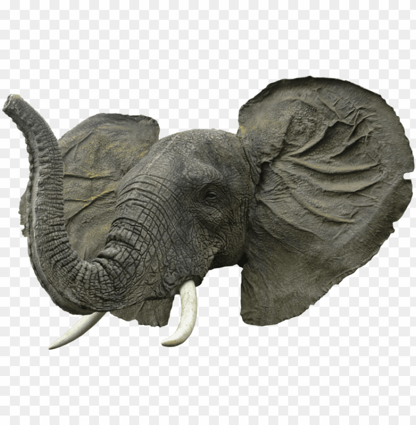 Free Free Elephant Face Svg 720 SVG PNG EPS DXF File