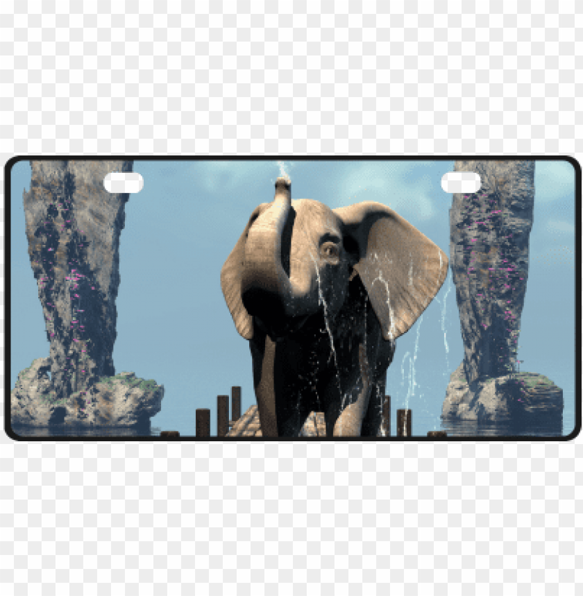 license plate, elephant, elephant silhouette, baby elephant, republican elephant, elephant clipart