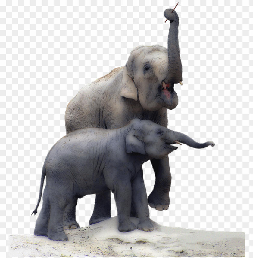 baby elephant, elephant, elephant silhouette, republican elephant, elephant clipart, elephant head