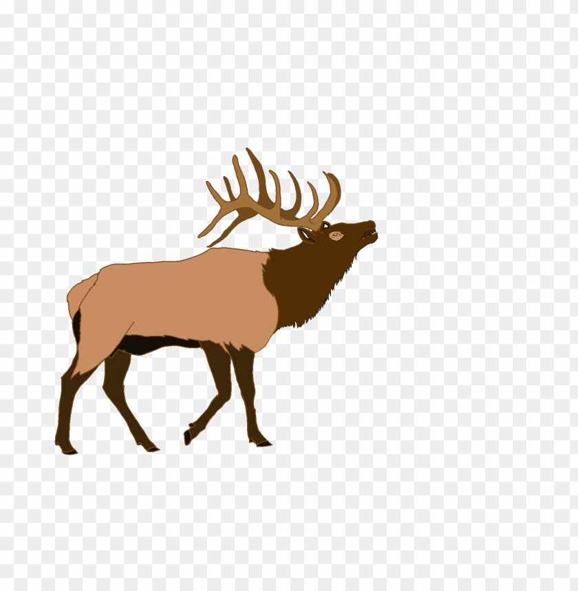 elk png images background - Image ID 37770
