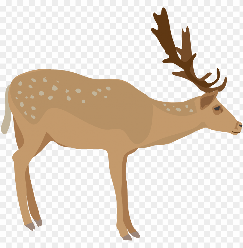 elk png images background - Image ID 37777