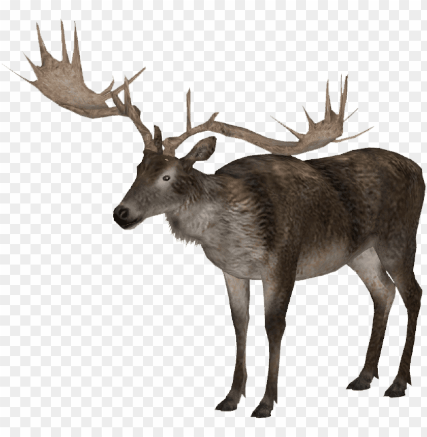 elk png png images background - Image ID 37771