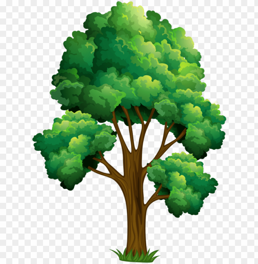 elm tree clipart realistic tree clip art PNG transparent with Clear Background ID 209724