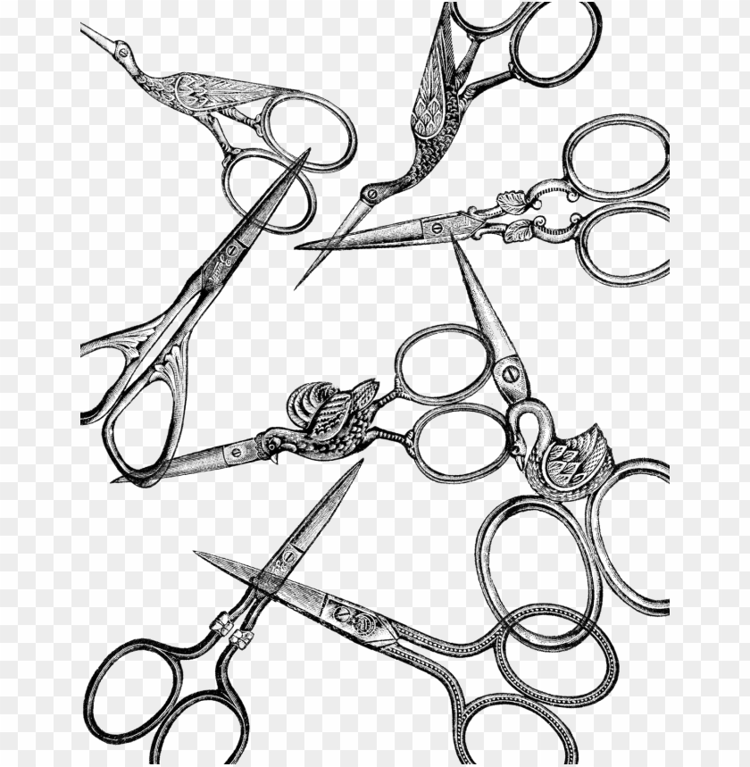 Embroidery Scissors Drawing Bird PNG Transparent With Clear Background ID 89516