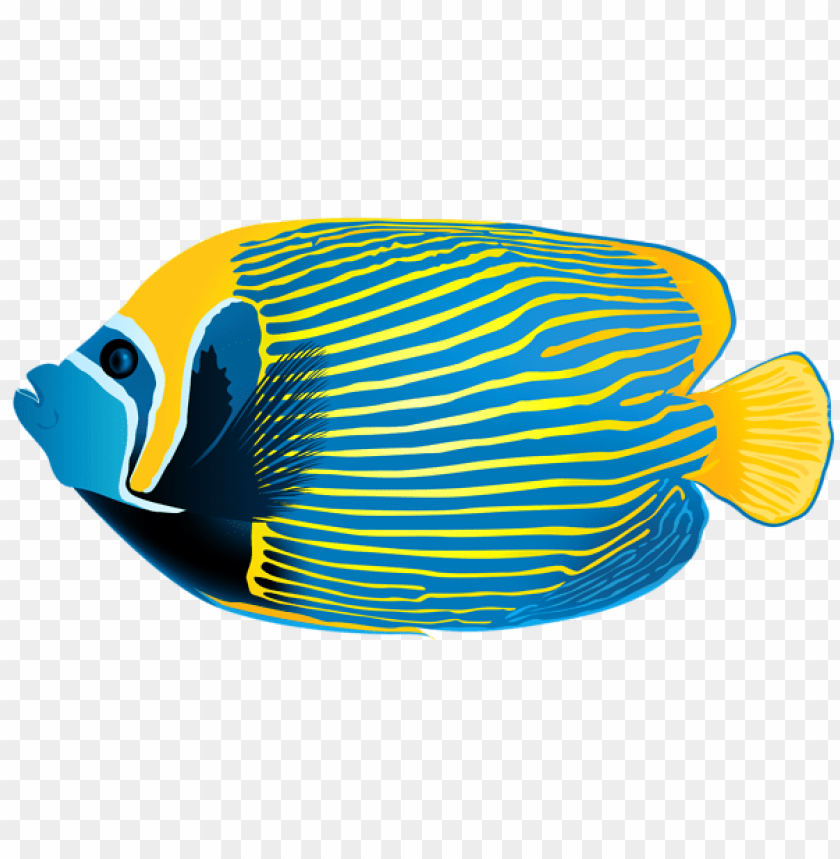 free PNG Download emperor angelfish clipart png photo   PNG images transparent