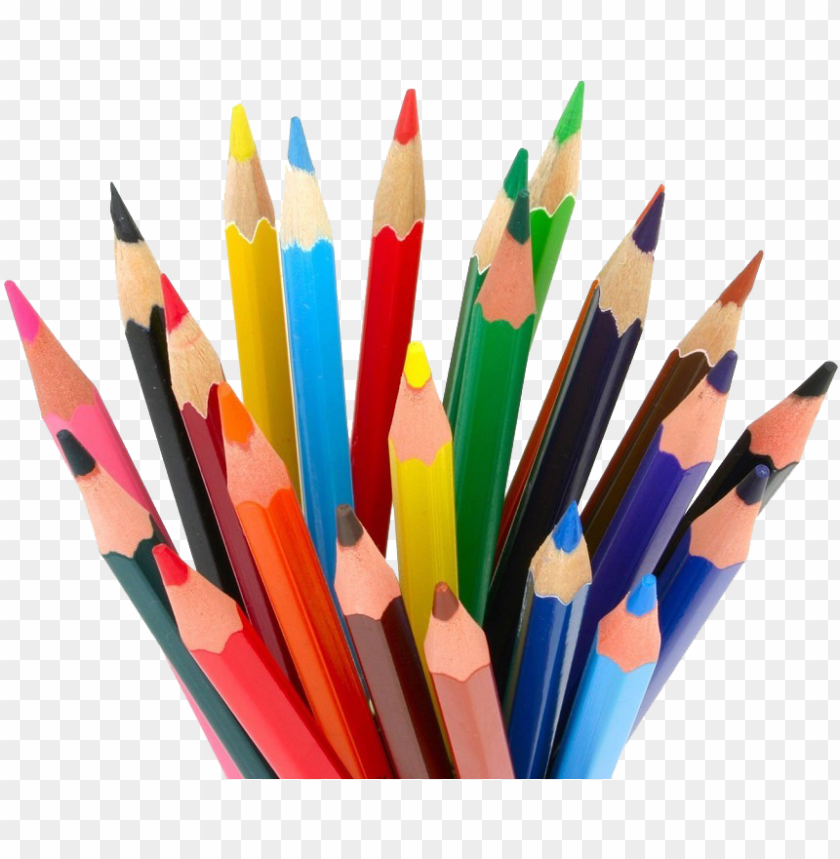 encil download png image - colored pencils PNG image with transparent  background | TOPpng
