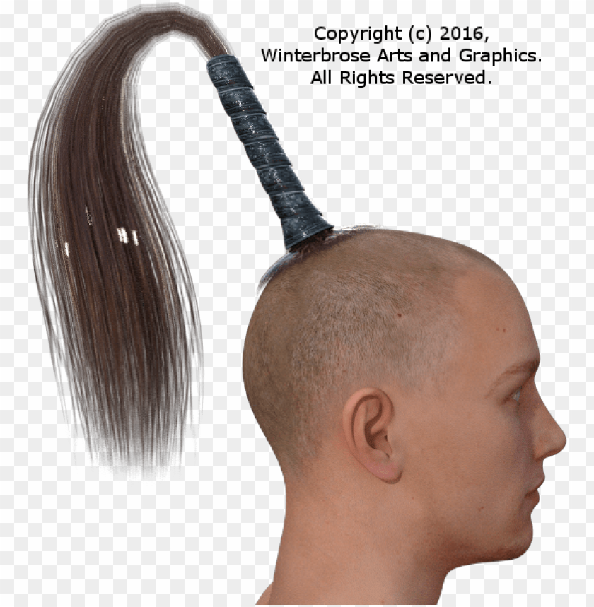 enesis 3 male - horse tail hair PNG image with transparent background |  TOPpng