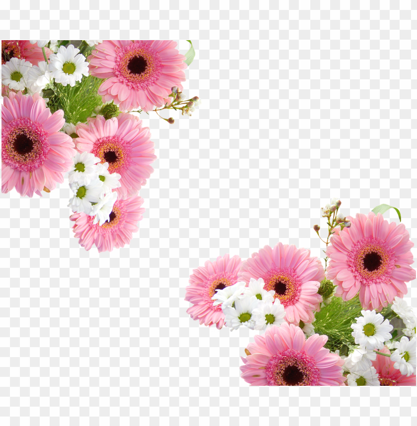 spring, background, flowers, pattern, daisy, wallpaper, rose