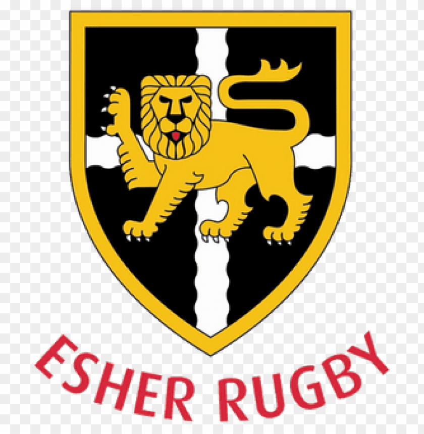 sports, rugby teams, esher rugby logo, 