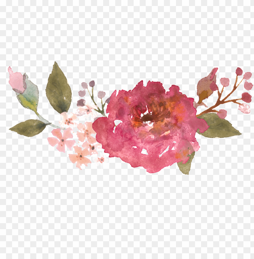 technology, roses, watercolor flower, plants, vintage frame, vintage, water color